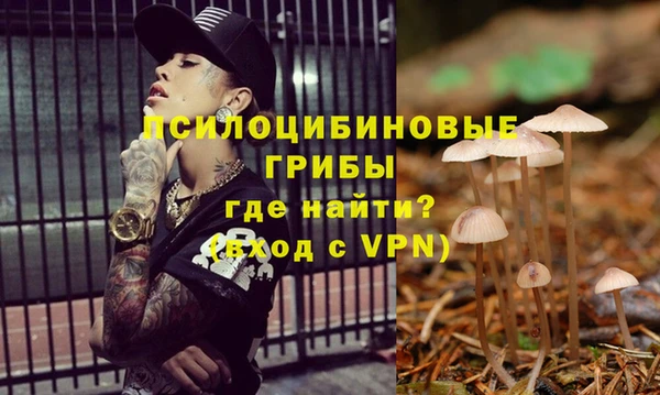 ПСИЛОЦИБИНОВЫЕ ГРИБЫ Баксан