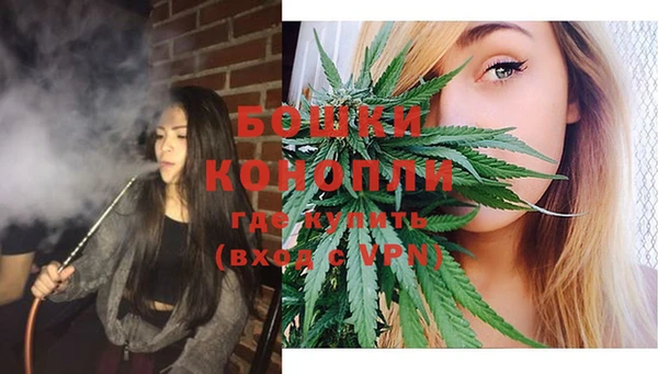 ПСИЛОЦИБИНОВЫЕ ГРИБЫ Баксан