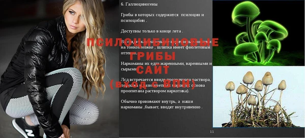 ПСИЛОЦИБИНОВЫЕ ГРИБЫ Баксан